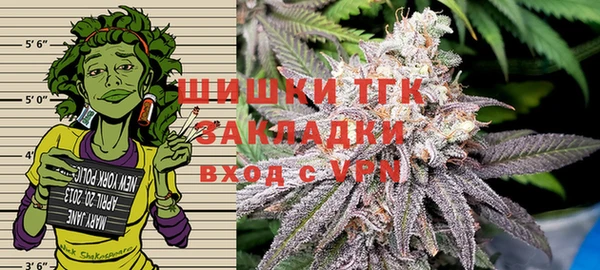 мдпв Волосово