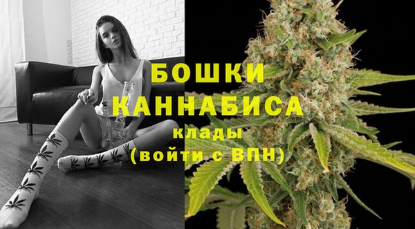 мдпв Волосово