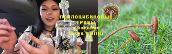 спиды Володарск