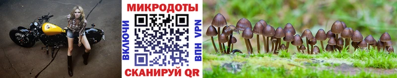 Галлюциногенные грибы Cubensis  даркнет как зайти  Домодедово  дарнет шоп 